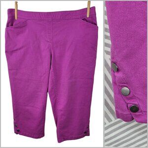 Avenue Capri Pants Stretch Size 16 Bright Pink Pull On High Waist Capris Crop